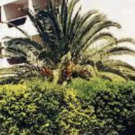 Appartement Studio Cabine Renove Avec Climatisation, Loggia, Parking Securise, Proche Plage Et Commodites - Fr-1-226-546 Sainte-Maxime
