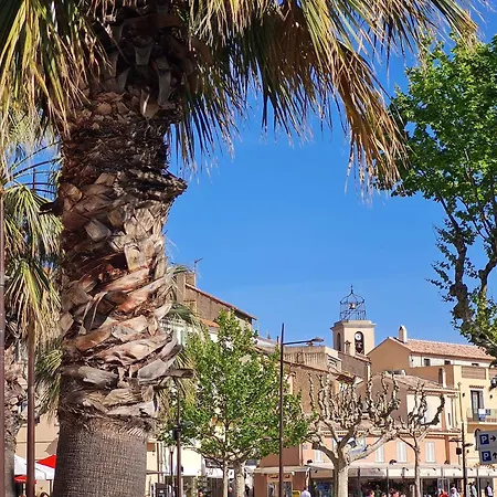 Studio Cabine Renove Avec Climatisation, Loggia, Parking Securise, Proche Plage Et Commodites - Fr-1-226-546 Appartement *